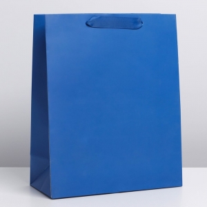 Пакет ламинированный «Синий», M 26 × 32 × 12 см